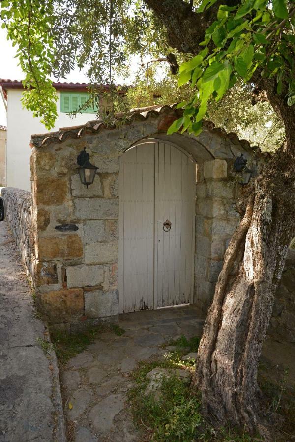 Mistra Estates Villa The Vine Pikouliánika 外观 照片
