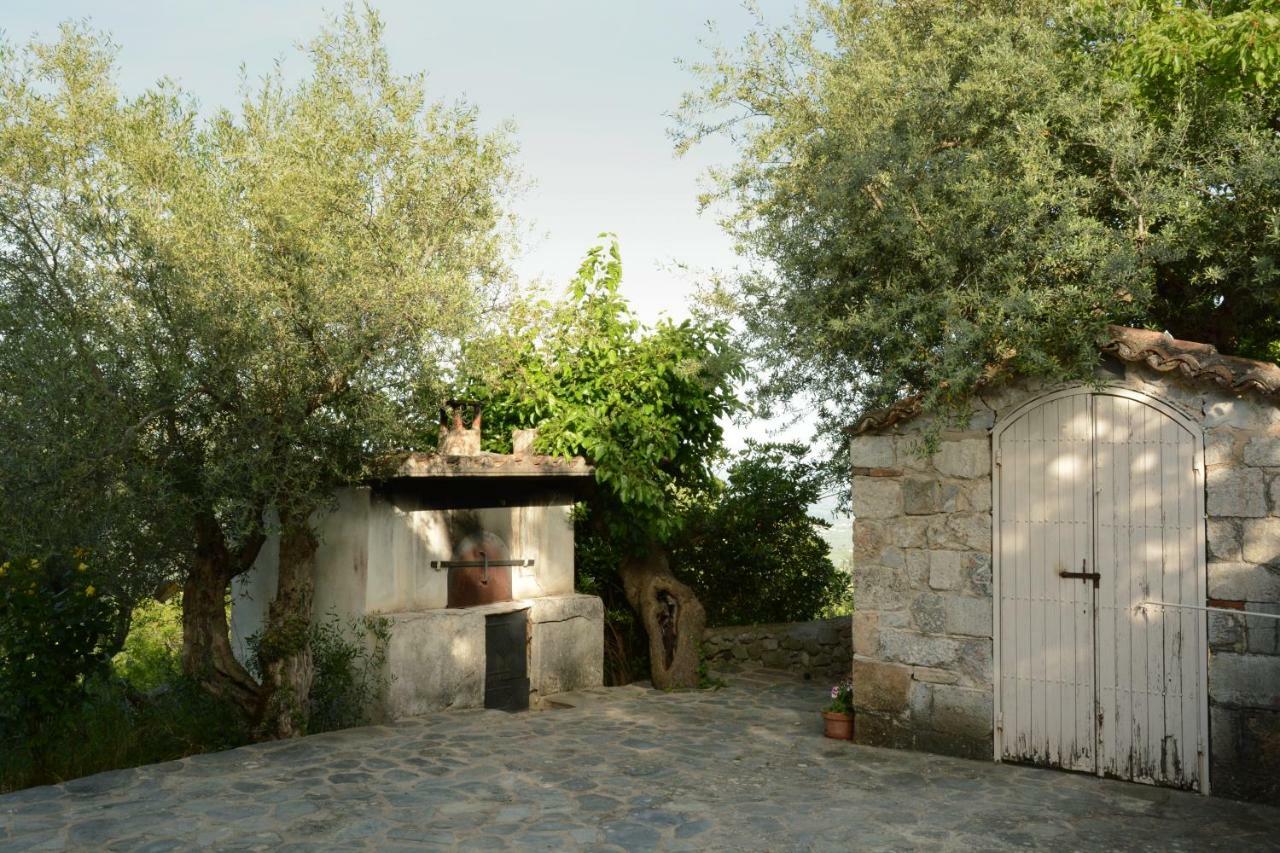 Mistra Estates Villa The Vine Pikouliánika 外观 照片