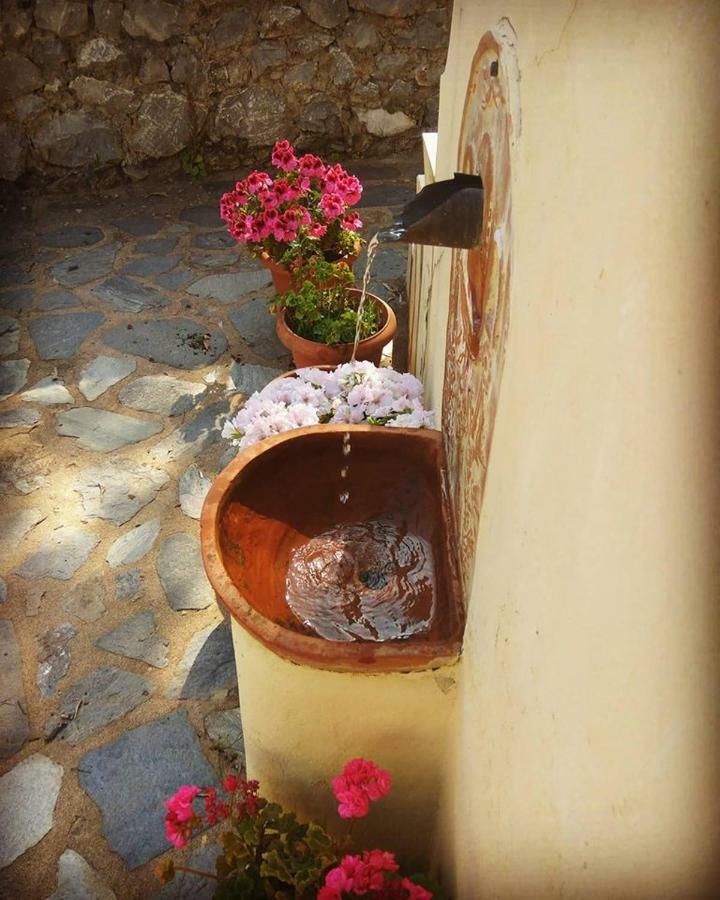 Mistra Estates Villa The Vine Pikouliánika 外观 照片